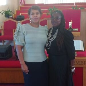 Ruffled Sleeve Blouse - Light Green